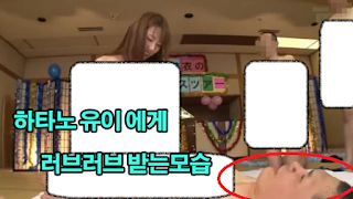 [일본] 지카돌 토미타 마유, 팬의 습격으로 중태 | 인스티즈