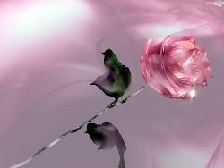 wallpapers unique desktop amazing unseen pretty flowers flower 3d rose beauty roses graphics pink blogthis email nice resolution
