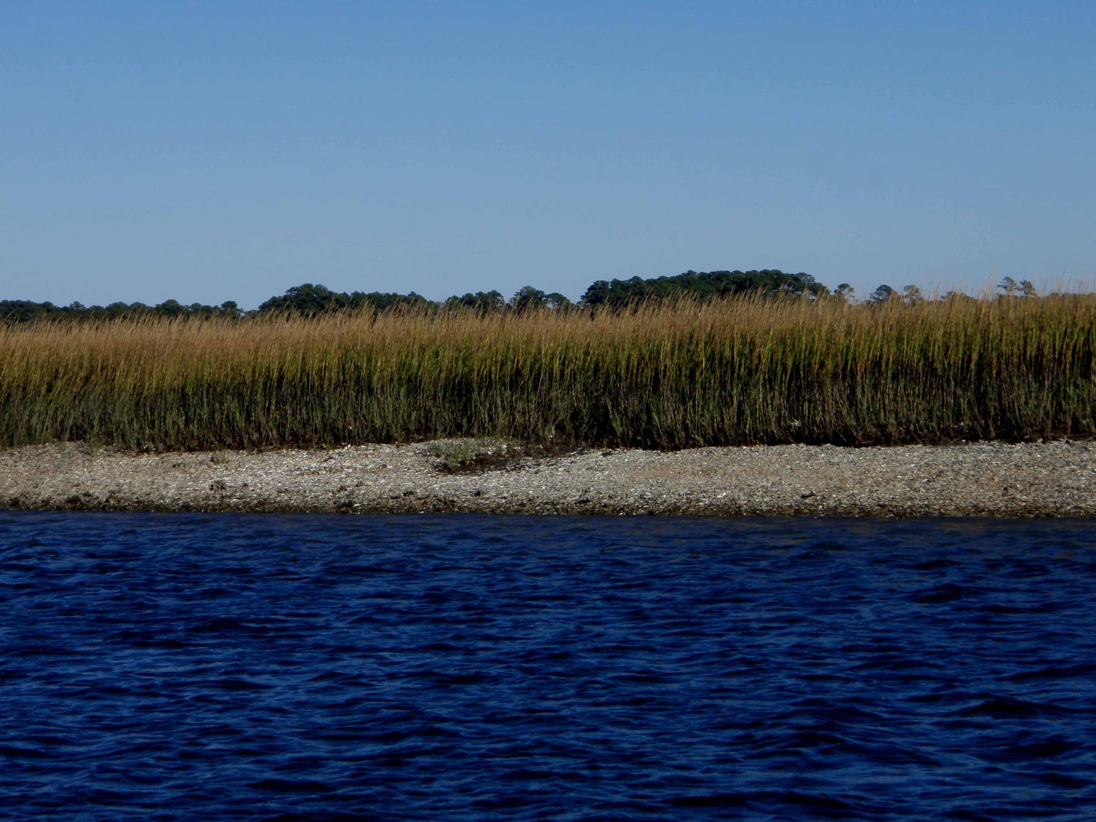 Exuberant Sailing Skipping Southward