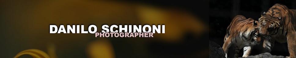 Danilo Schinoni . Photographer