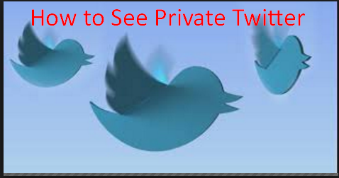 How to See Private Twitter