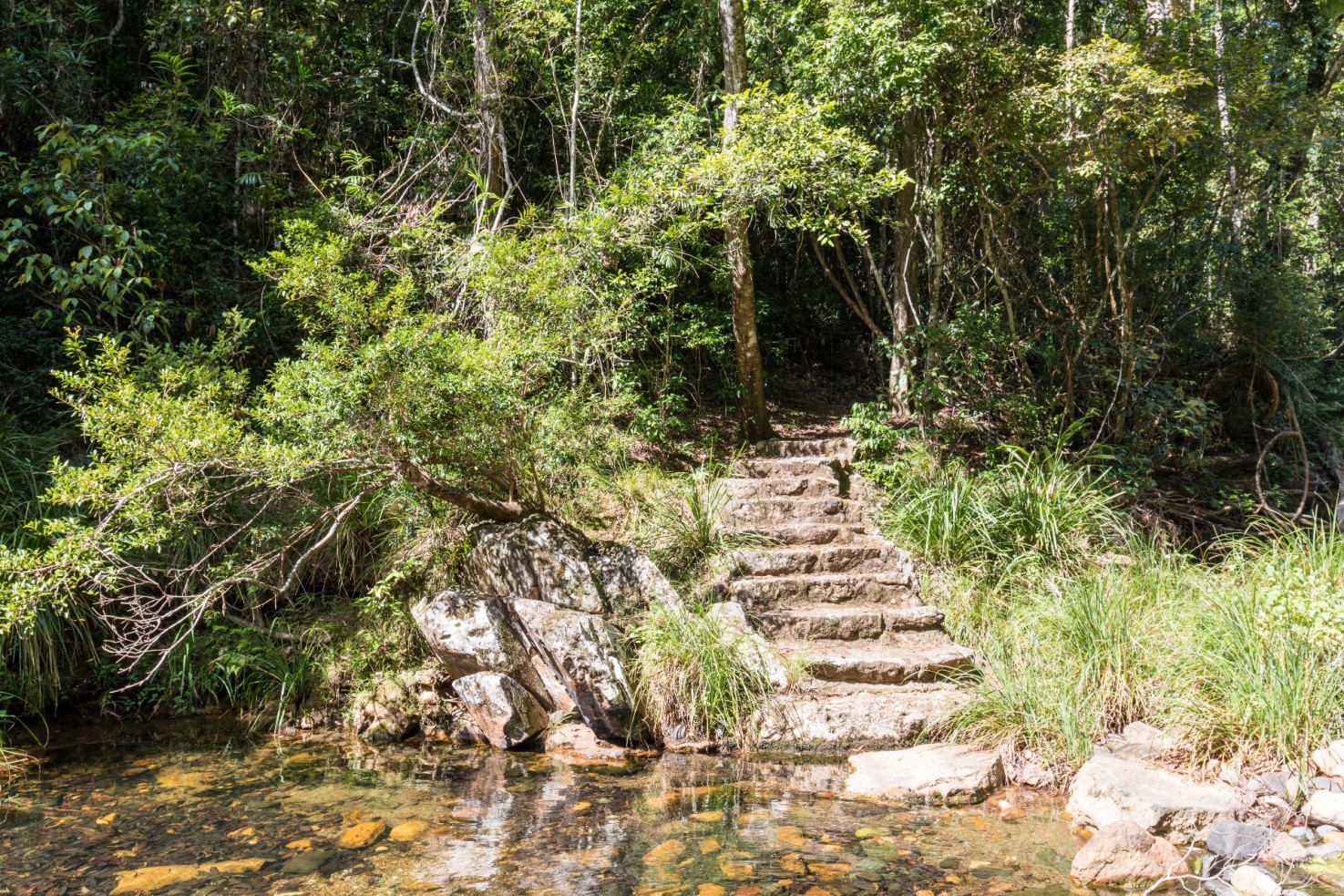 National Park Odyssey Neurum Creek Camping