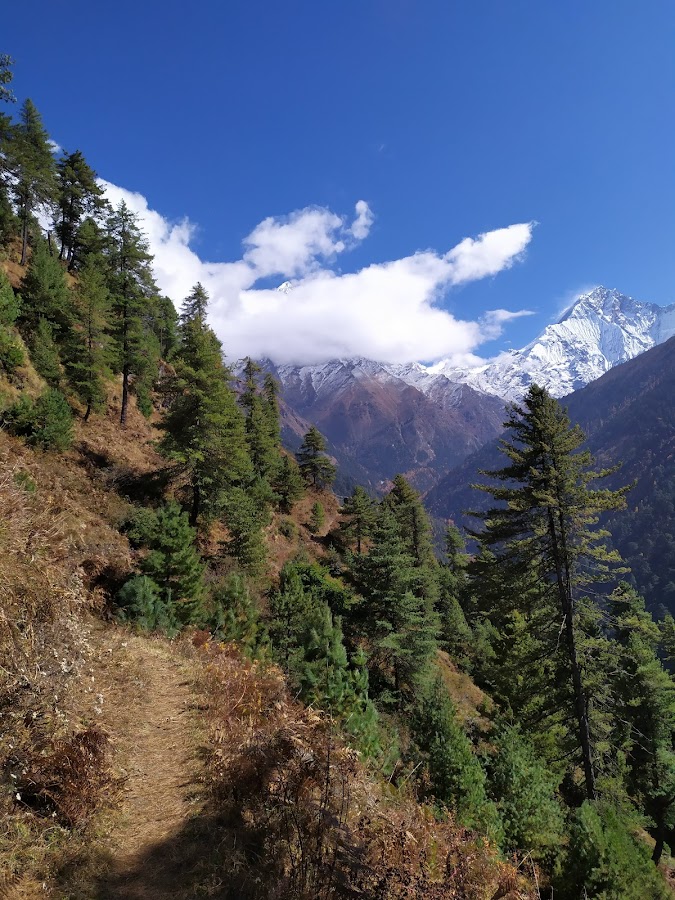 По долине Цум и вокруг Манаслу не галопом, ноябрь 2019.