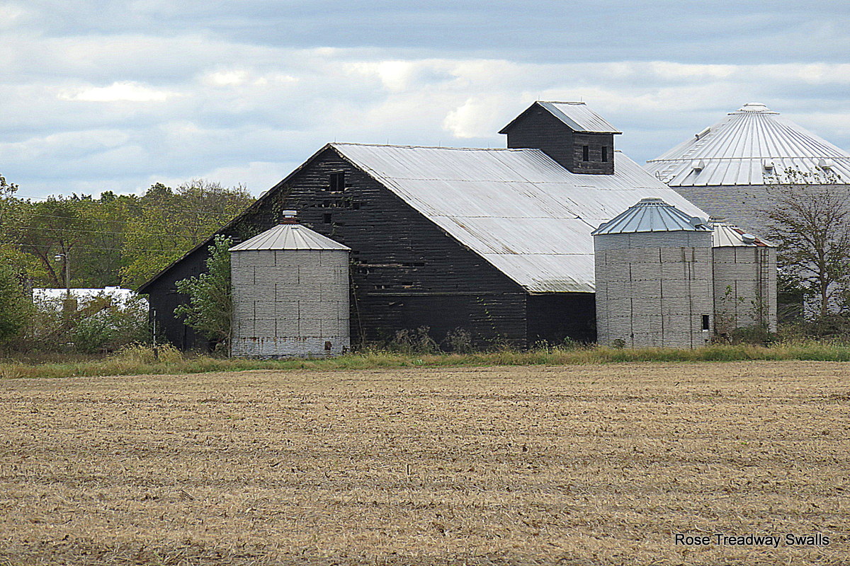 Time Stand Still, a photo blog: Black barn&hellip;