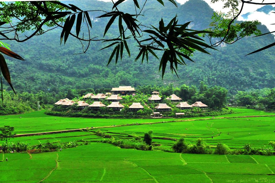 TOUR GHÉP HÀ NỘI - MAI CHÂU - MỘC CHÂU | GIÁ SHOCK HÈ 2018