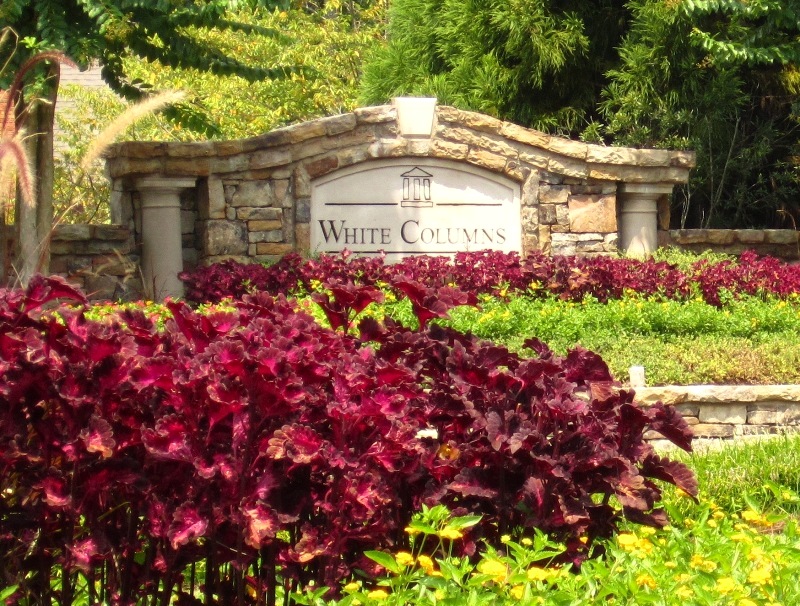 White Columns Country Club Of Homes The Many Neighborhoods Of White Columns North Alpharetta GA