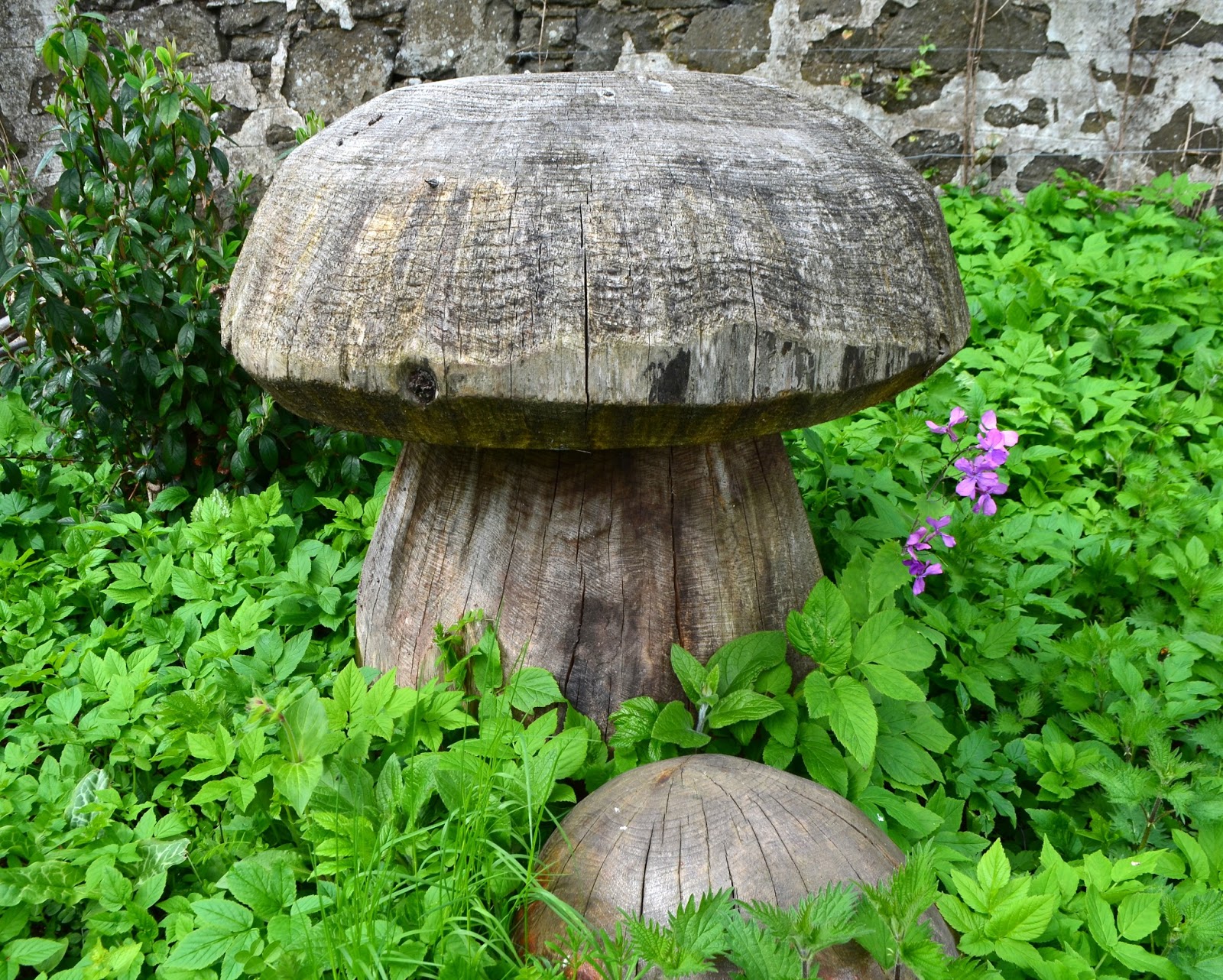 Tour Scotland Tour Scotland Video Photograph Wooden Toadstool