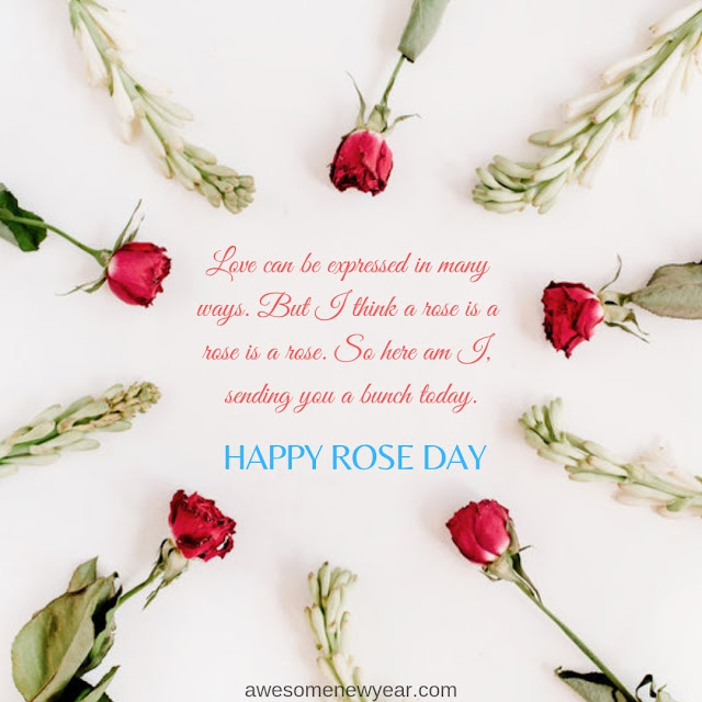 Rose Day Images for wife
