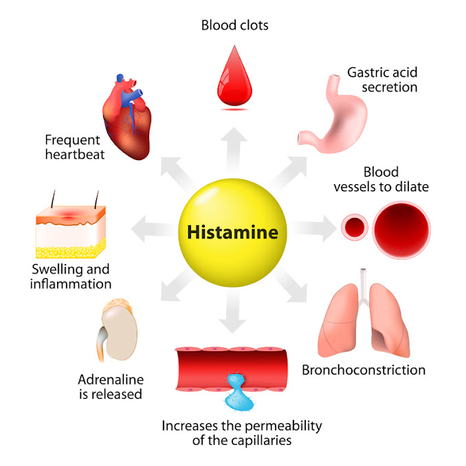 Histamine It's Not Just About Allergies
