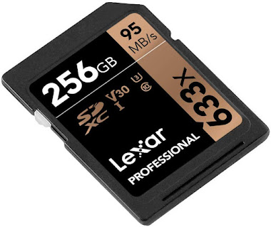 Lexar Professional 633x 256 GB