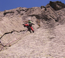 El Torozo. Gredos