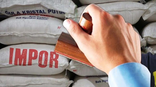 Impor Gula di Tengah Musim Giling Bisa Bikin Harga di Petani Anjlok