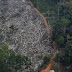 MEIO AMBIENTE / Desmatamento da Amazônia aumentou 15% nos últimos 12 meses, aponta estudo