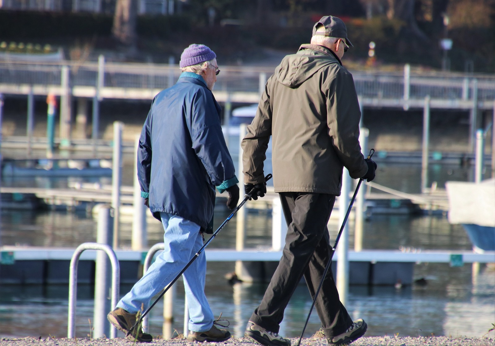 ruch-senior Dwoje seniorów uprawia nordic walking