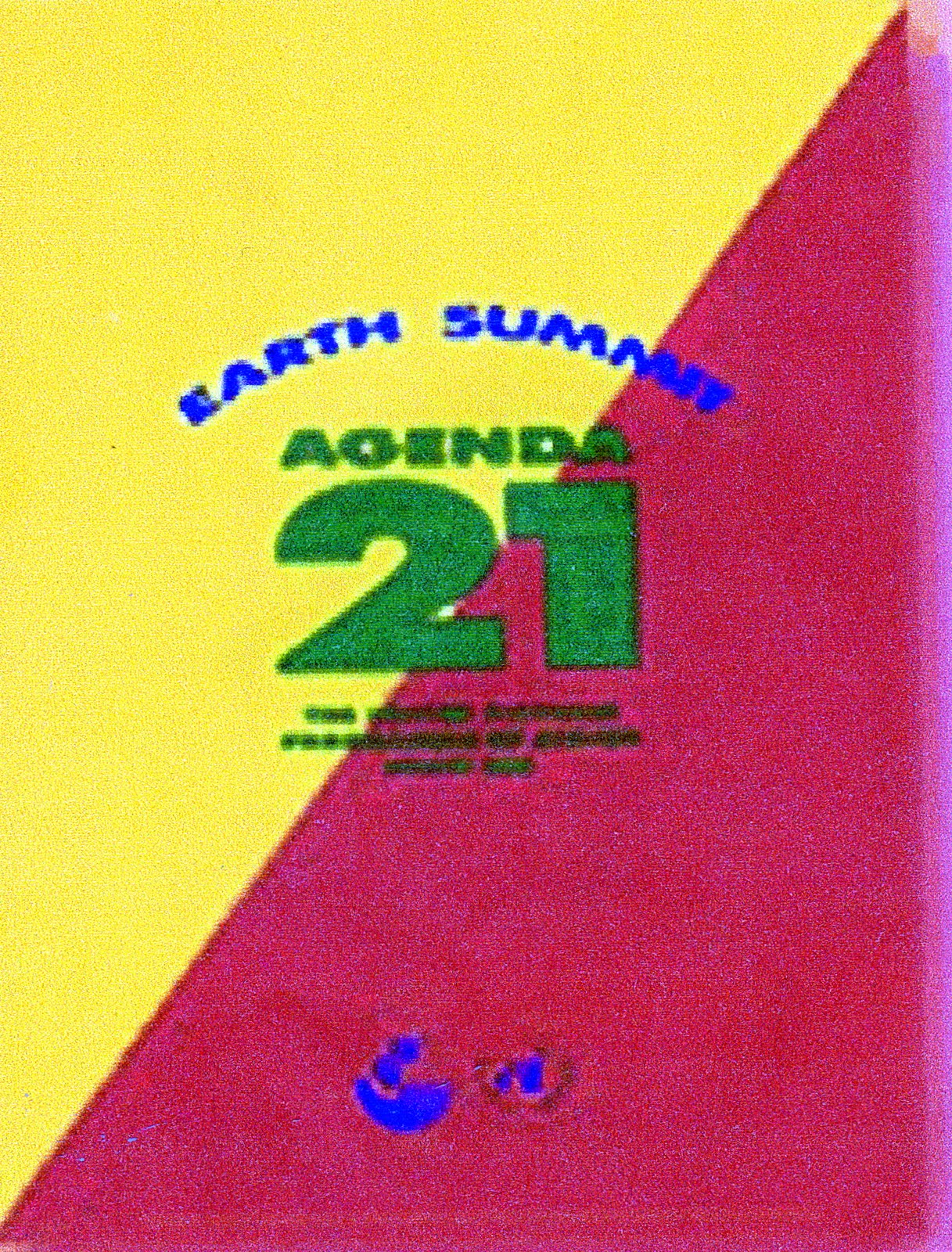 Agenda 21 for dummies pdf image