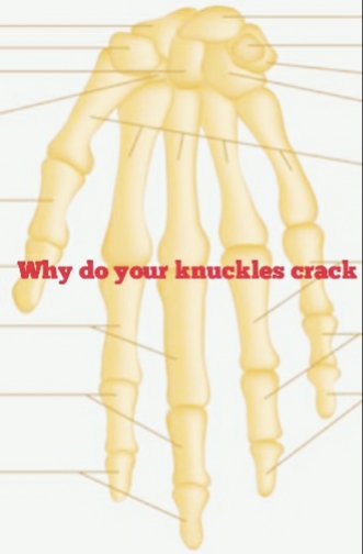 Why do knuckles crack?