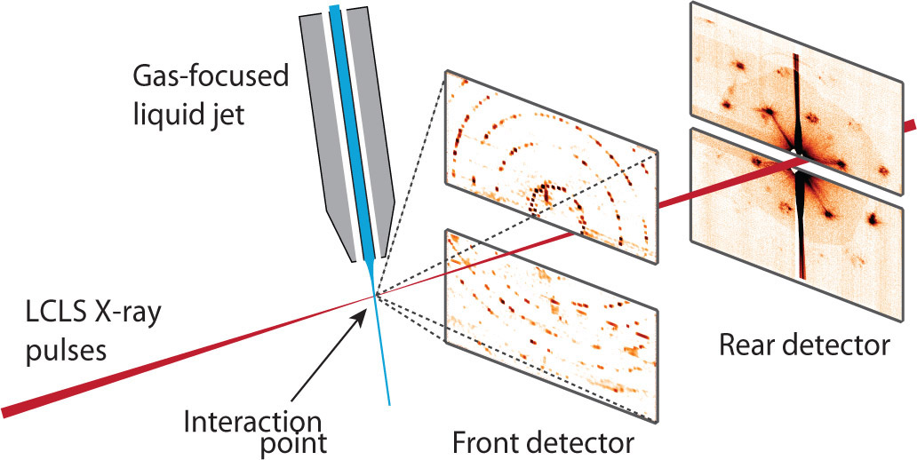 AlQuímicos Protein crystallography using xray freeelectron lasers