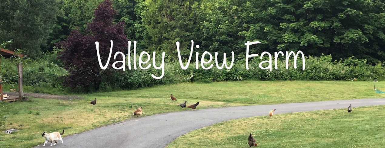Valley View Farm