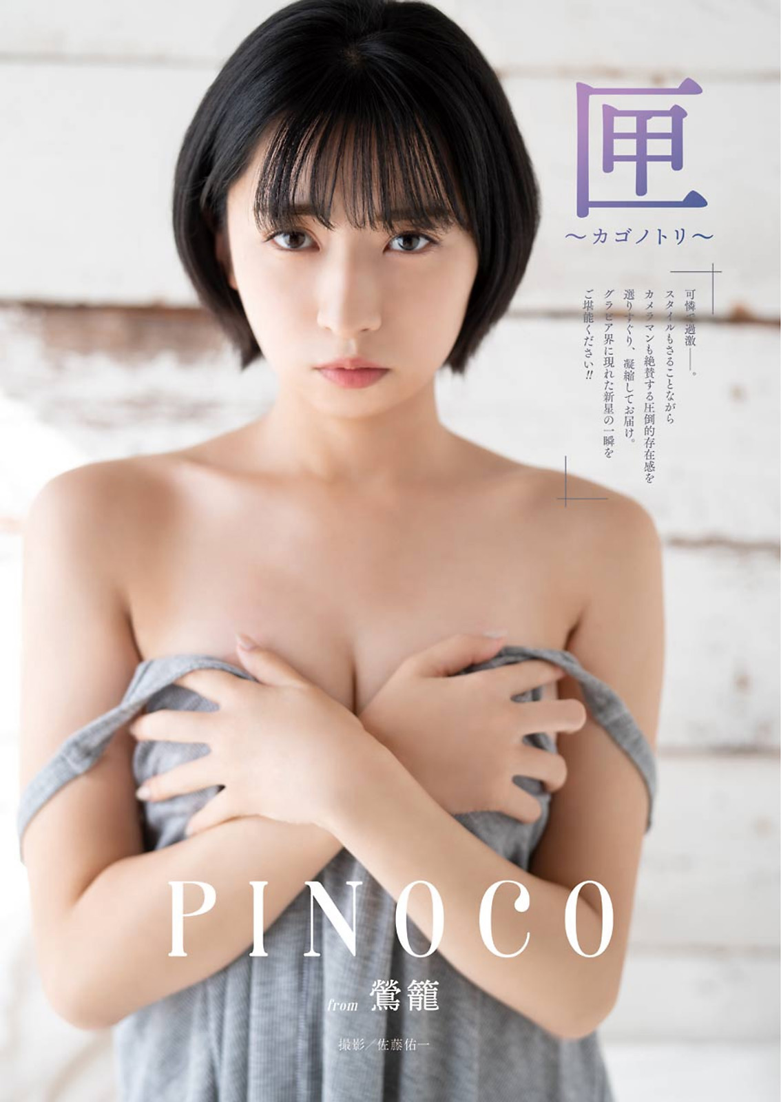 PINOCO ぴのこ, Young Gangan 2021 No.02 (ヤングガンガン 2021年2号)