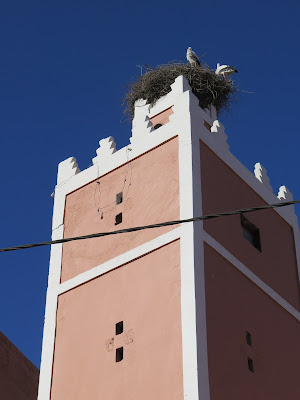 Zigüeñas en un minarete de Demnate