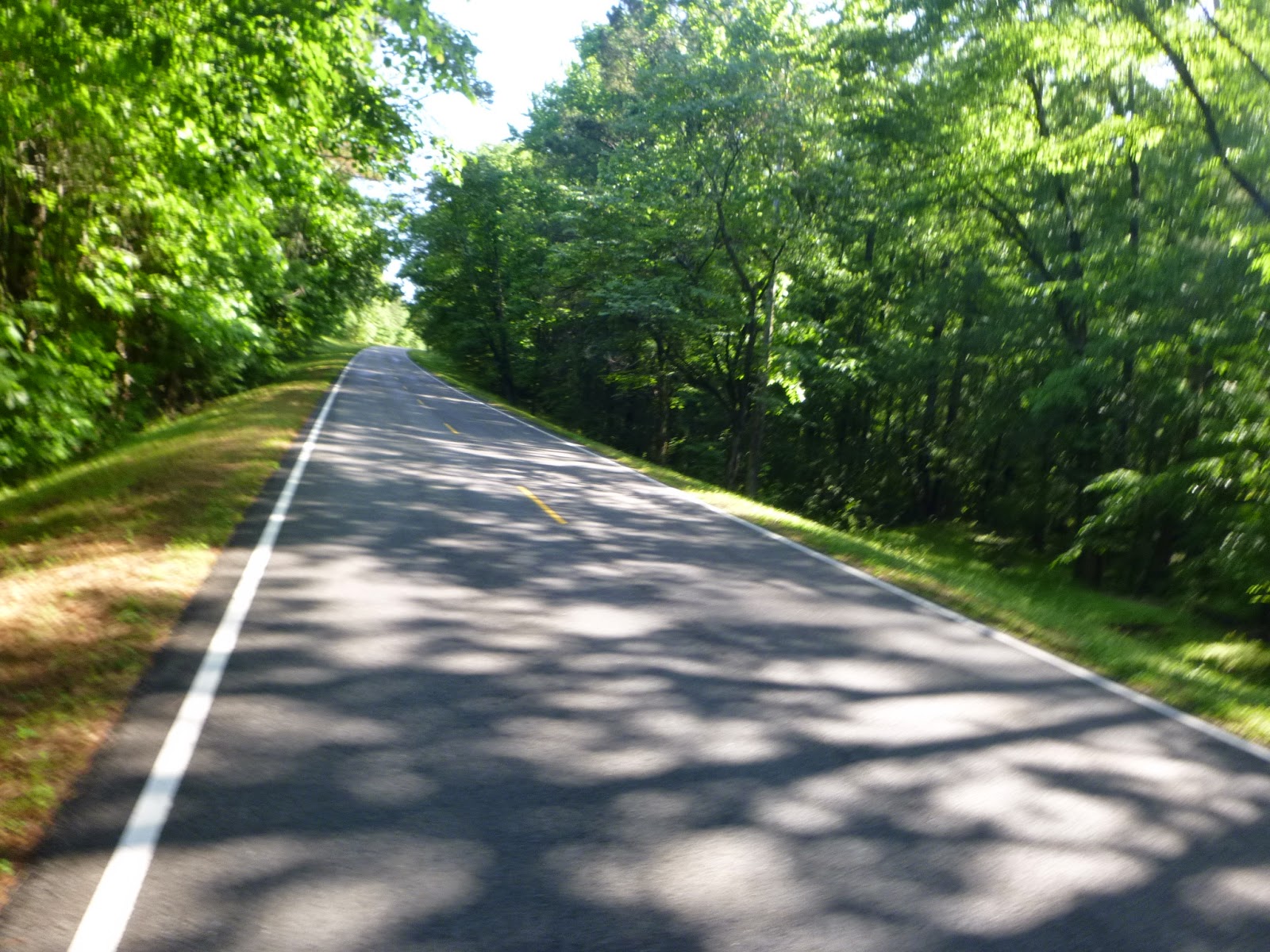 Versys Ventures, and more Natchez Trace Parkway