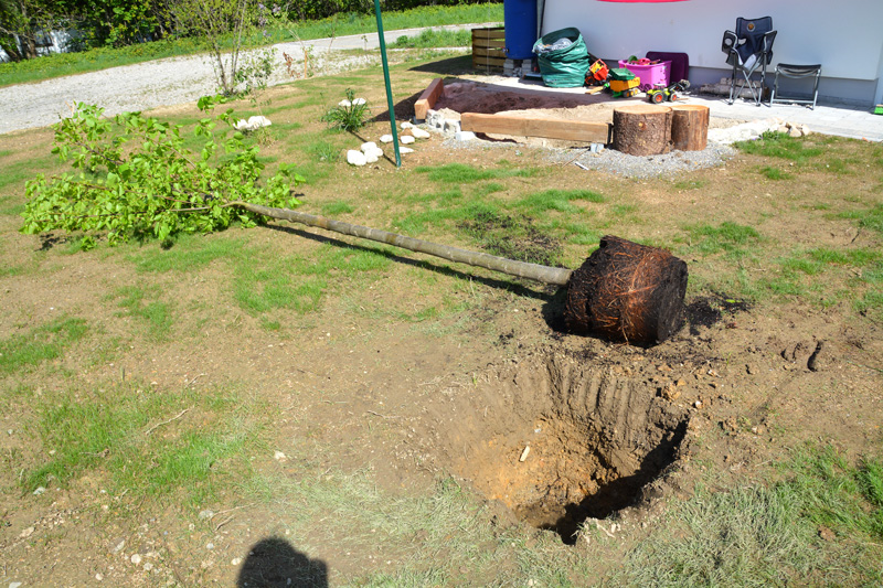 Der Garten und unsere neuer Baum LilalouHaus