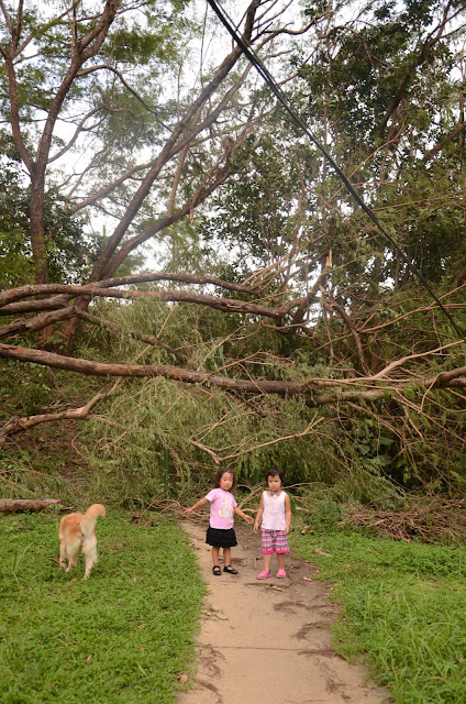 kids and fallen tree at the staircase