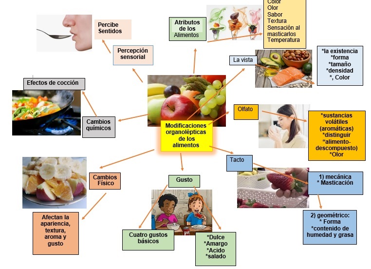 Modificaciones Organolépticas de los alimentos