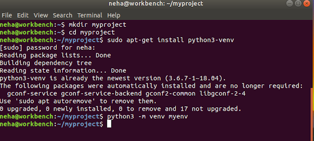 Beginner’s Guide: Setting up the virtual environment in VS Code for