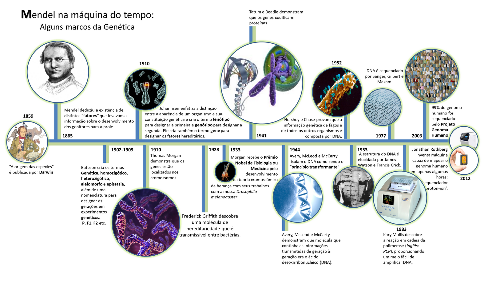 MENDEL NA MÁQUINA DO TEMPO MENDEL