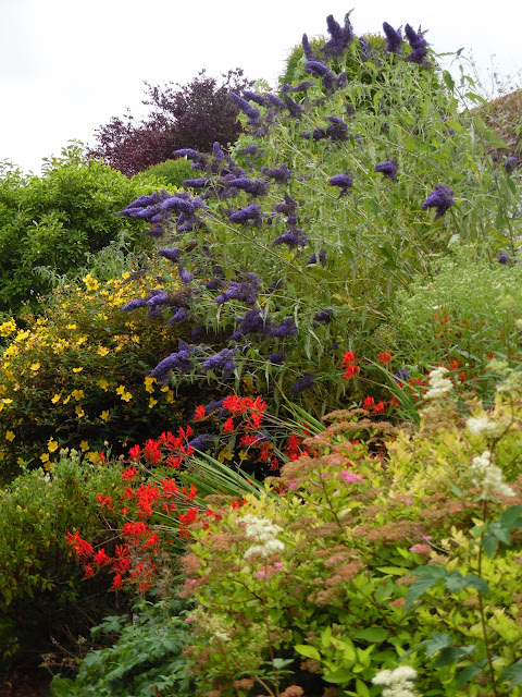 Burton Agnes Hall & Gardens angielska rabata bylinowa