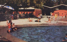 PETIÇÃO: PISCINA DO CAMPO GRANDE