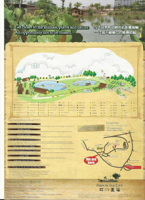 Farm in the City - Leaflet
