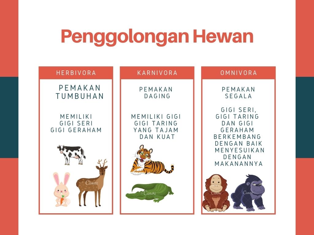 Materi Ipa Kelas 5 Horay Edukasi