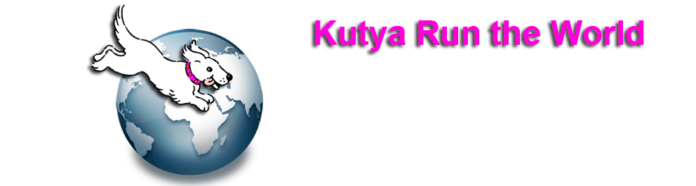 Kutya Run the World