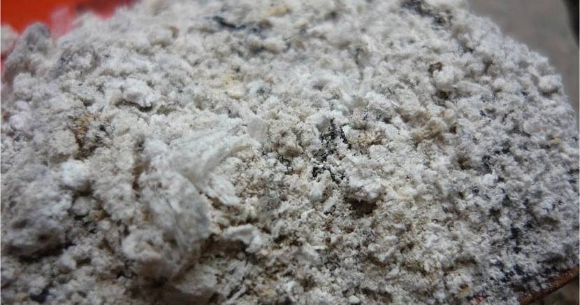 Entre plantas y macetas: Uso de cenizas de madera en el jardín