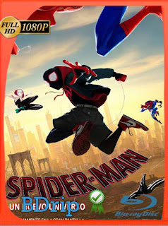 Spider-Man: Un Nuevo Universo (2018) BDRIP 1080p Latino [GoogleDrive] SXGO