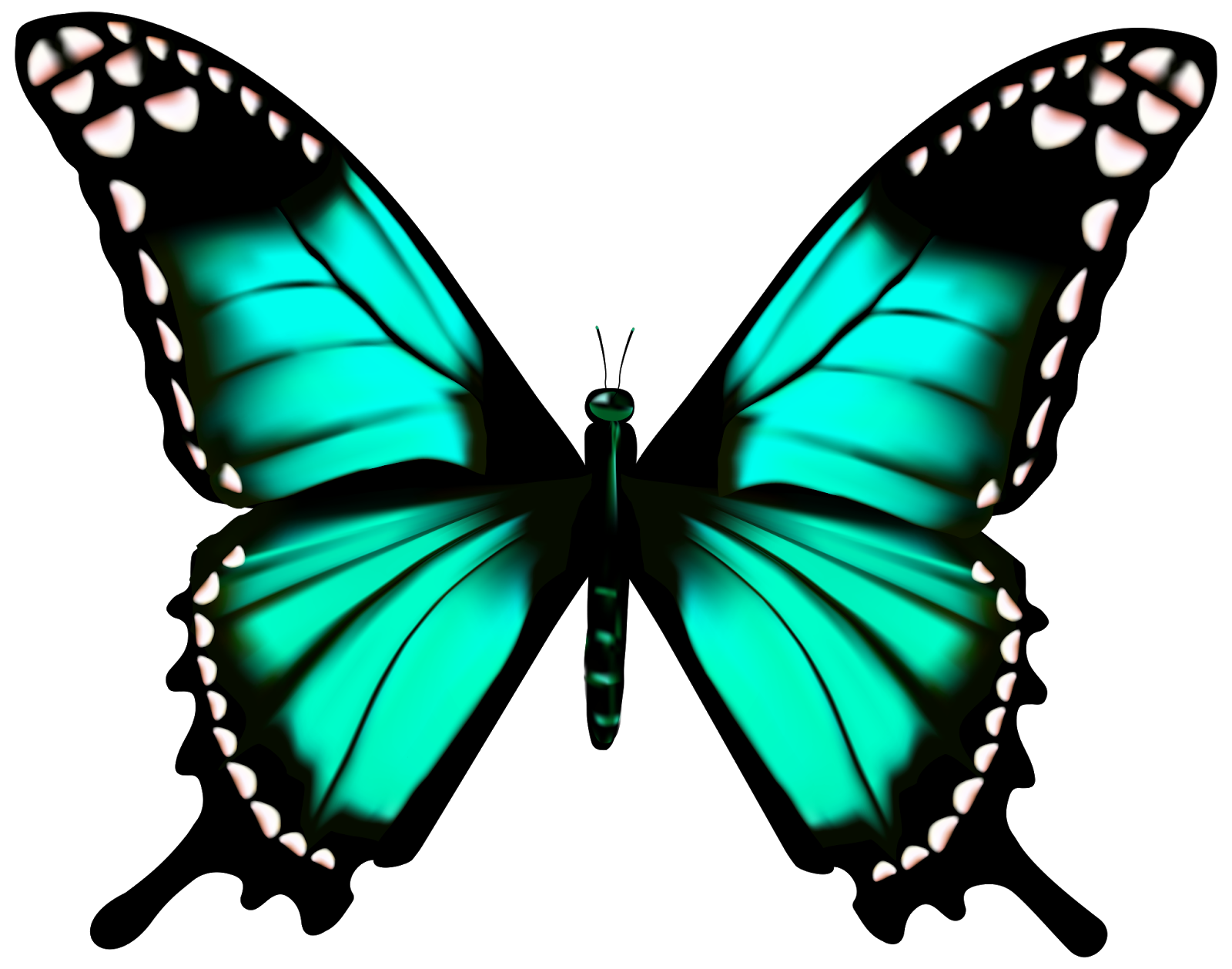 Пнг изображения. Бабочки. Бабочки для фотошопа. Бирюзовые бабочки. Бабачкина прозрачном фоне.
