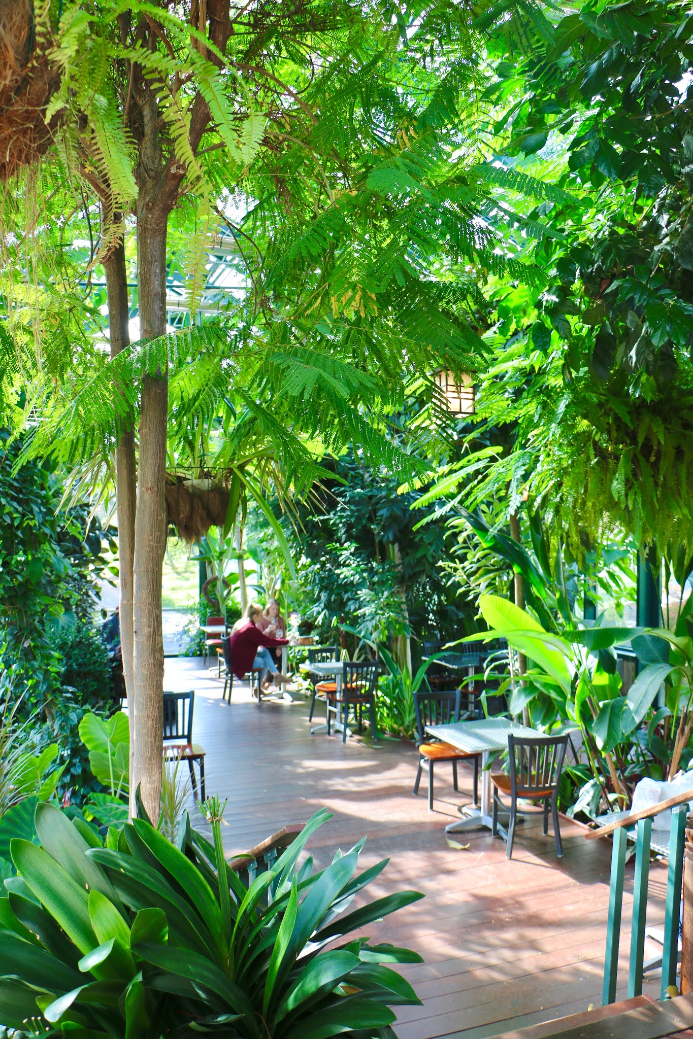 Monticello Wine Trail Glass House Winery Southern Belle in Training