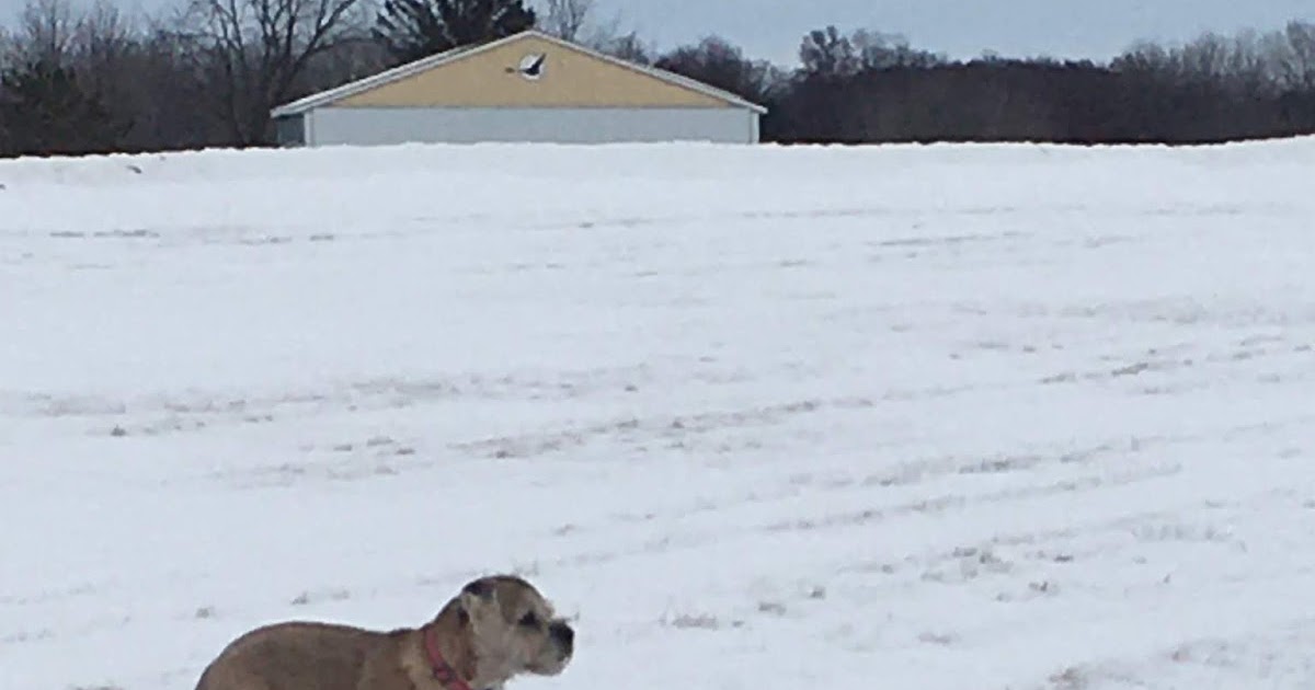 Slower Than Molasses But Still Moving