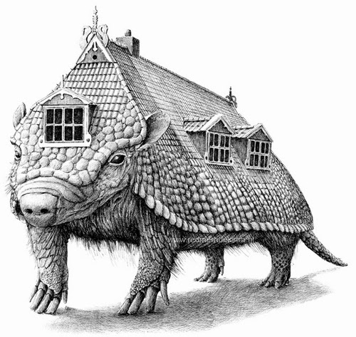 06-Armadillo-Roof-Redmer-Hoekstra-Surreal-Animals-Ink-Drawings-www-designstack-co