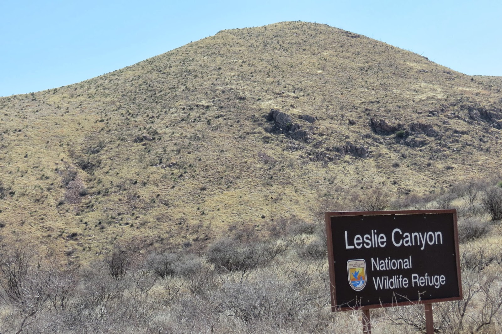 Where's Liz? 2014: Slaughter Ranch, San Bernadino and Leslie Canyon ...