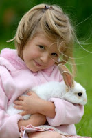 Most Popular Best Pets In The World - Rabbits