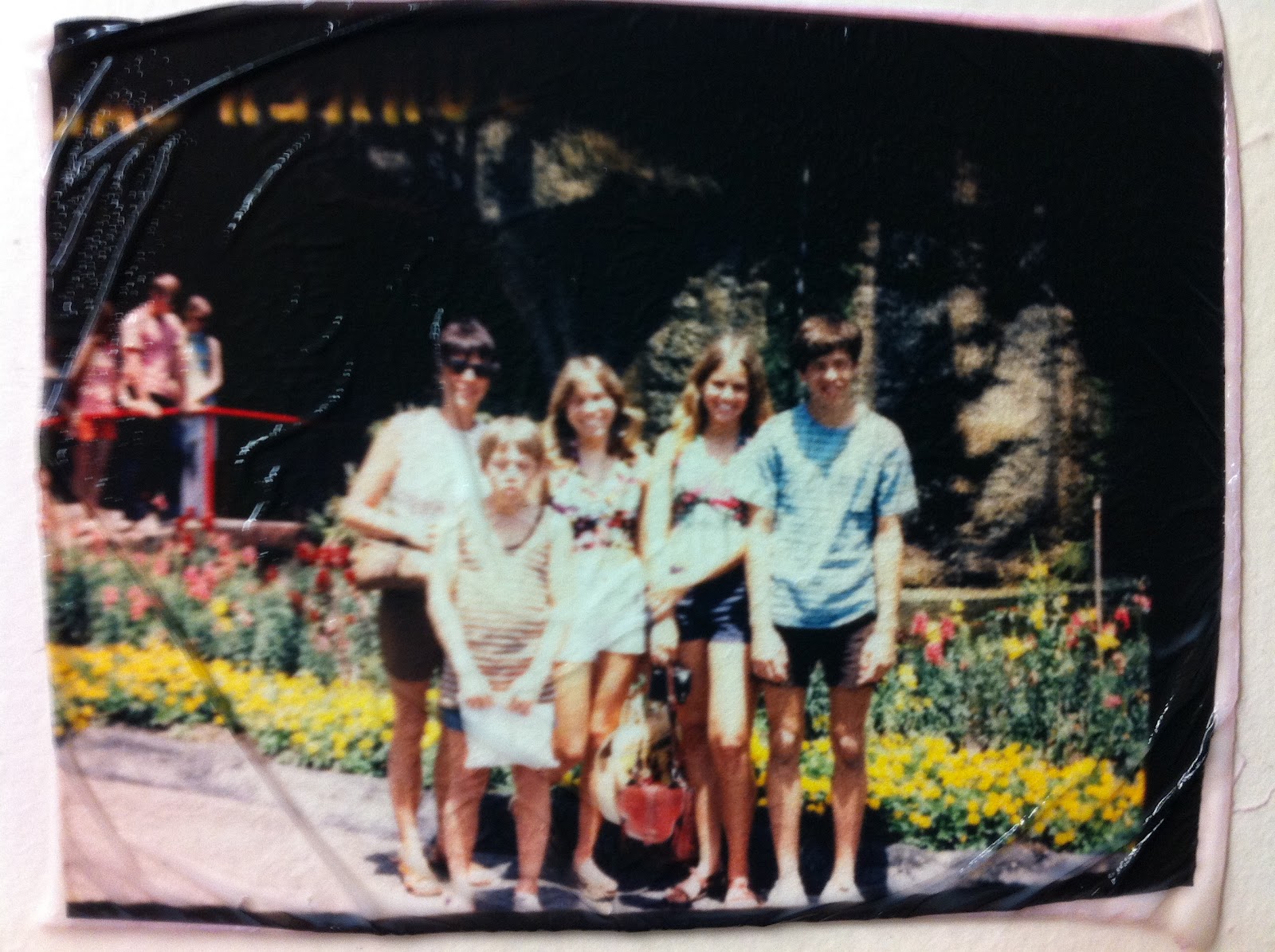 Advanced Photography Journal Transfer Methods In Photography