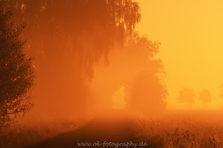 Naturfotografie Sonnenaufgang Diepholzer Moorniederung