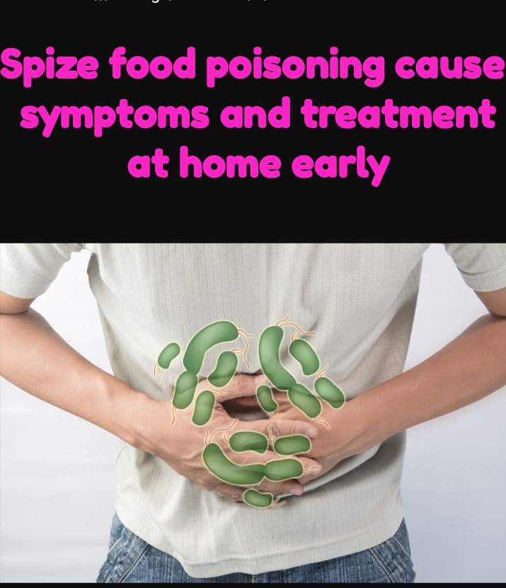 Spize food poisoning cause symptoms and treatment at home early