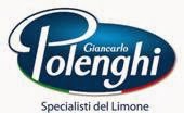 Polenghigroup