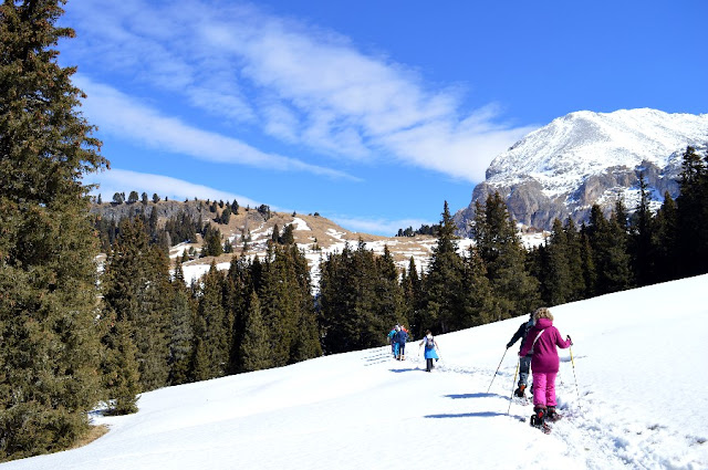 alpe di siusi