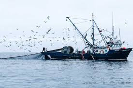 Commercial fisheries