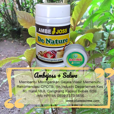 Obat Wasir Tradisional Untuk Ibu Hamil